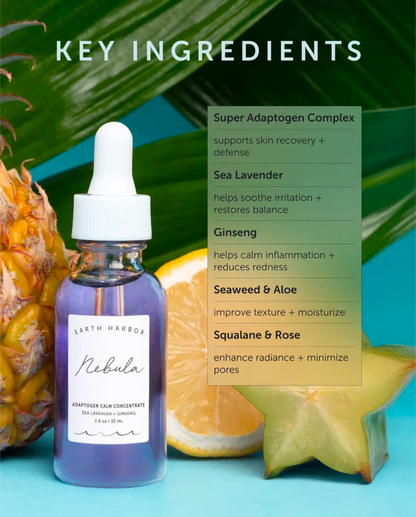 Nebula Adaptogen Calm Concentrate